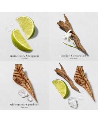 Acqua di Giò Men's Deodorant Stick