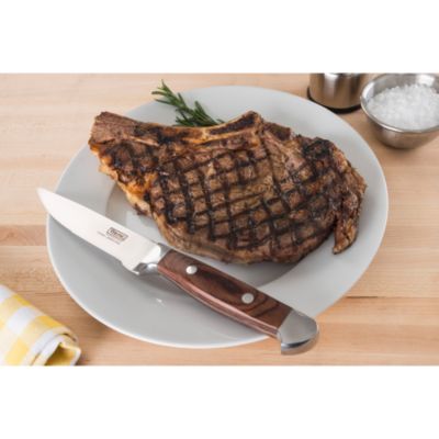 6 Pc Steak Knife Set