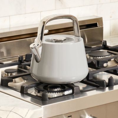 Stainless Steel Tea Kettle