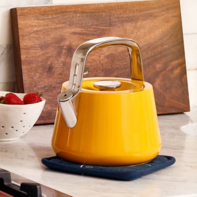 Stainless Steel Tea Kettle