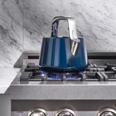 Stainless Steel Tea Kettle