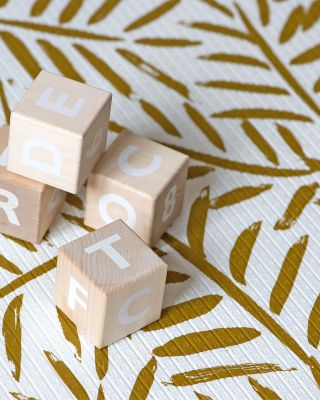 One Piece Reversible Playmat