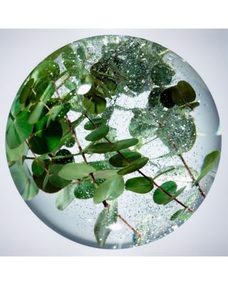 Concentrated Brightening Serum 1.3 oz.