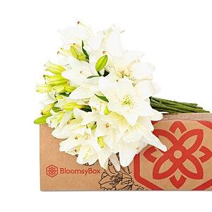 Bloomsybox Casablanca White Lilies