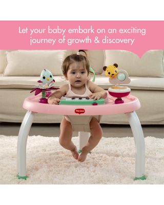 Tiny Princess Tales Stationary Activity Center - Ages 6 months+