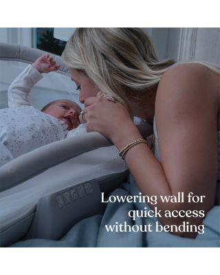 BassiNest&reg; Soothing Swivel Sleeper 3.0