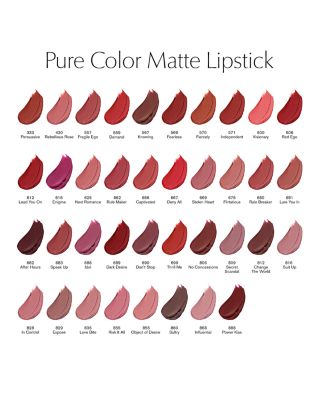 Pure Color Matte Lipstick