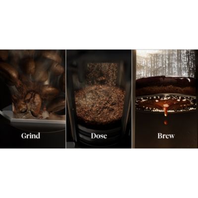 TrueBrew Automatic Coffee Maker with Bean Extract Technology - Stainless