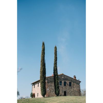 Italy on a Plate: Travels, Memories, Menus Cookbook