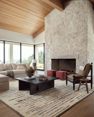 Briyana BRI-04 Area Rug, 5'6" x 8'6"