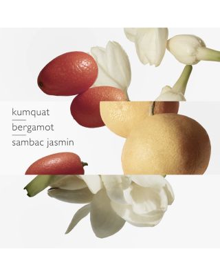 Le Jardin de Monsieur Li Eau de Toilette Natural Spray 3.3 oz.