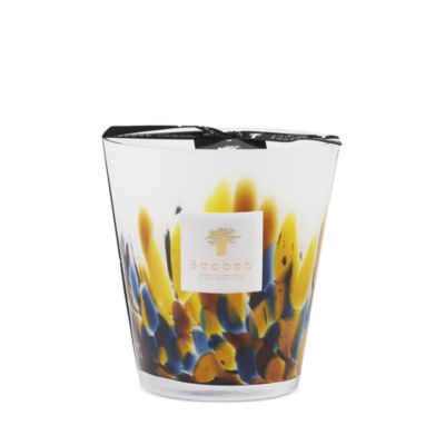 Baobab Collection Max 16 Rainforest Mayumbe Candle