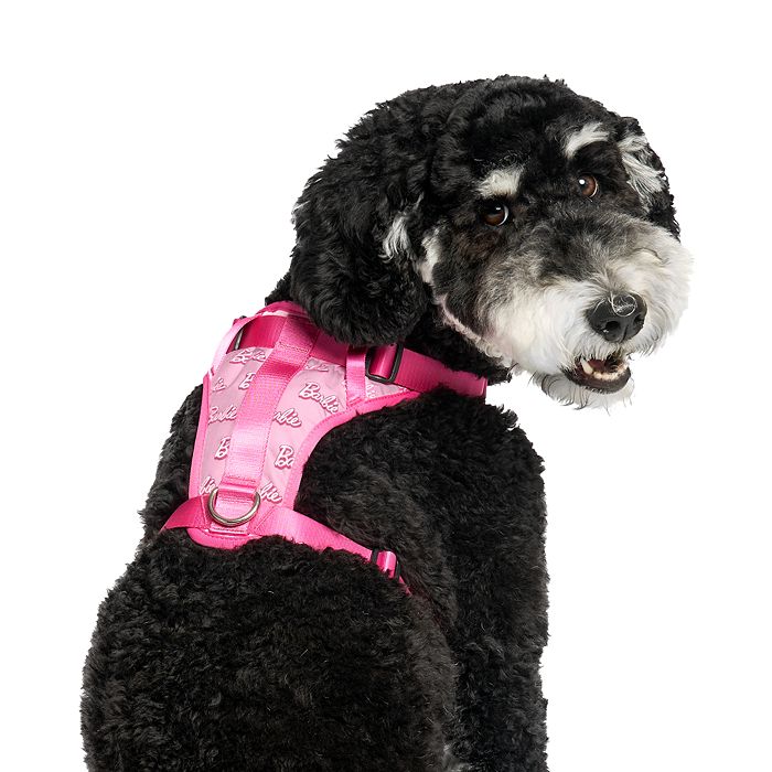 Large Dog Collar Hot Pink Rhinestone M L 5cm Wide - Staffy Bling Big Girl