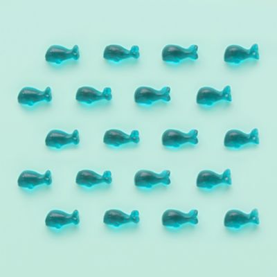 Baby Whales Gummies, Set of 4