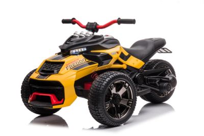 3 Wheel 24V 2-Seater Motorcycle Kids Ride on
