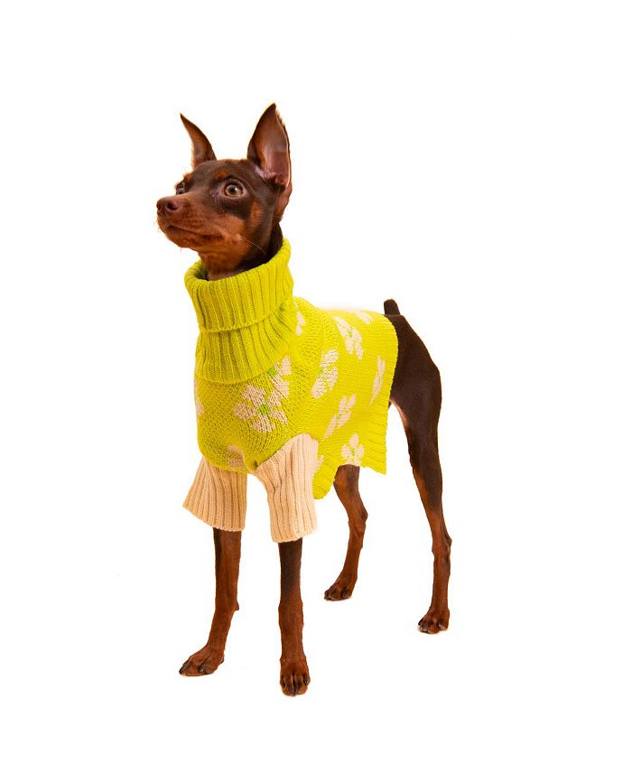 Little Beast Flower Power Sweater for Dogs Bloomingdale's