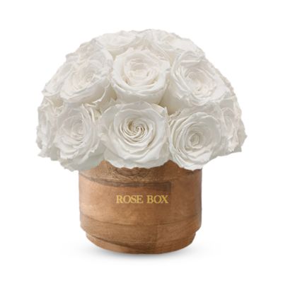 Rose Box Nyc Rustic Mini 25 Rose Half Ball Arrangement