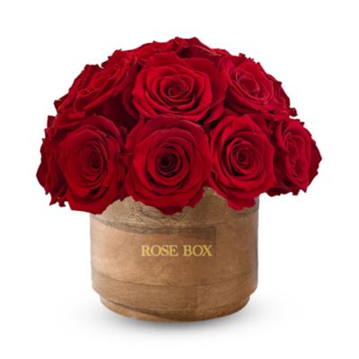 Rose Box Nyc Rustic Mini 25 Rose Half Ball Arrangement