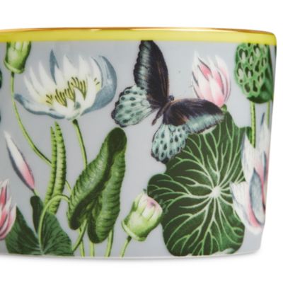 Wonderlust Waterlily Teacup & Saucer Set