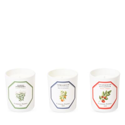Botanical Candle Gift Box, Set of 3
