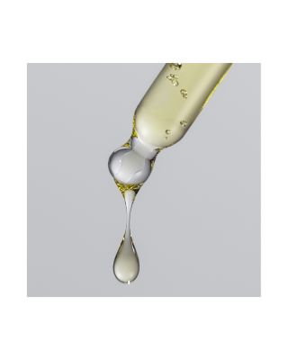 No Frizz Vanishing Oil 1.7 oz.