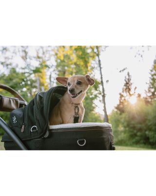 Pets Maeve™ Pet Car Seat, Small Flex