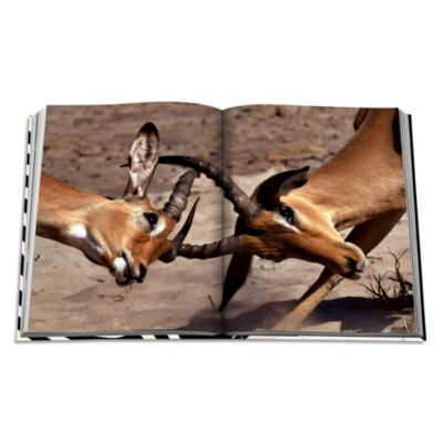 African Adventures: The Greatest Safari on Earth