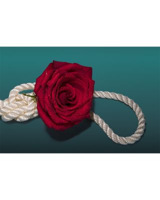 Salt Marsh Rose Candle