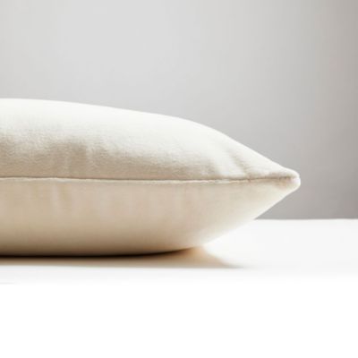 Torino Velvet Decorative Pillow, 22" x 22"