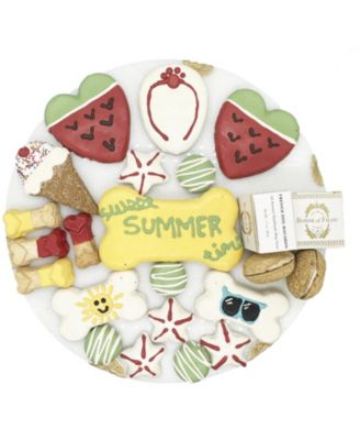 Summer Themed Dog Treats Gift Box