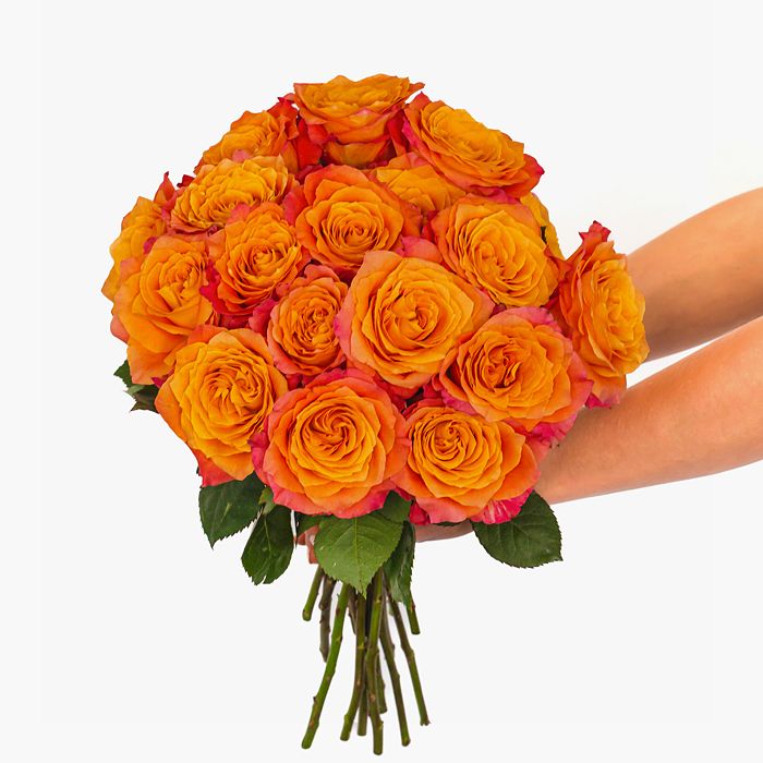BloomsyBox Free Spirited Roses Bouquet Bloomingdale #39 s