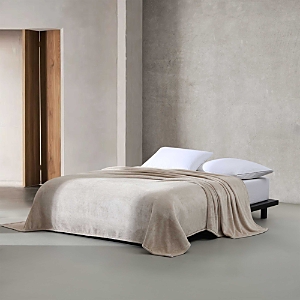 CALVIN KLEIN CORE PLUSH SOLID BED BLANKET, QUEEN