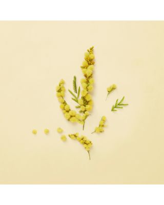 The Alchemist's Garden Winter's Spring Eau de Parfum 3.3 oz.