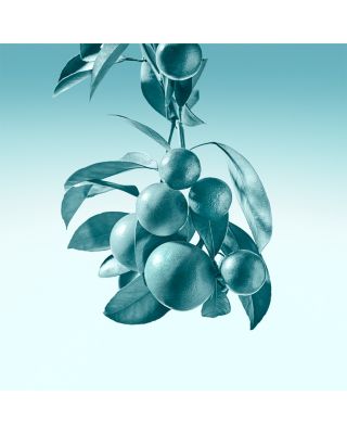 Tiffany Eau de Parfum 2.5 oz.