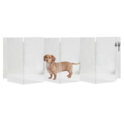 Clear Wall Mounted Zig Zag Pet Gate with Gold Latch, 6 Panel