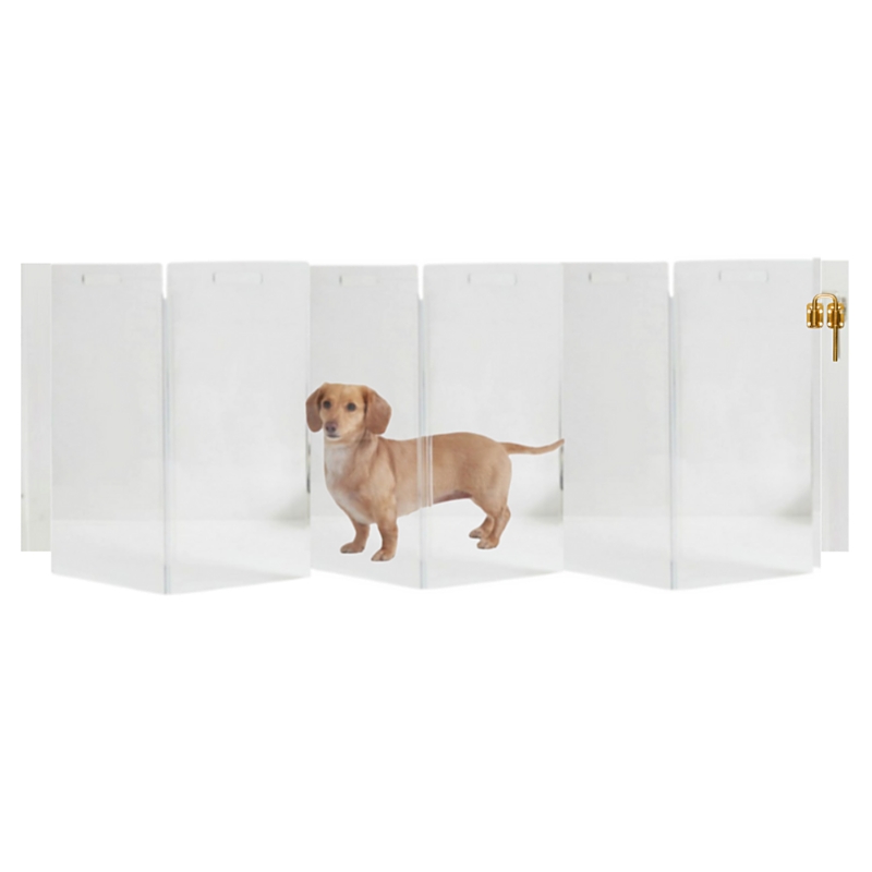 Hiddin Clear Wall Mounted Zig Zag Pet Gate with Gold Latch, 6 Panel