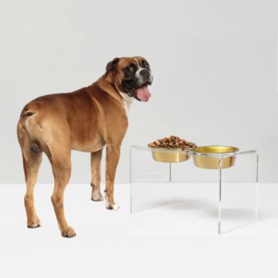 Tall Double Bowl Pet Feeder with Metal Bowls