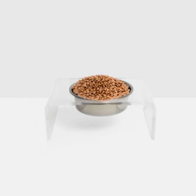 Clear Single Pet Bowl Feeder