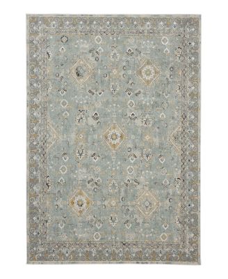 Karastan Windermere Ravenglass Area Rug, 10' x 14'