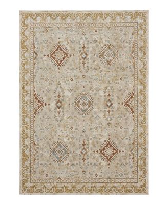 Karastan Windermere Ravenglass Area Rug, 10' x 14'