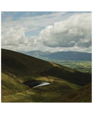 Irish Leather Eau de Parfum 6.8 oz.