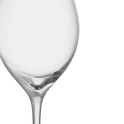 More Champagne Glass, Set of 4