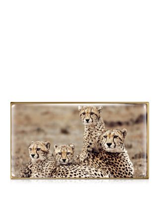Limited Edition Cheetah Eye Trio