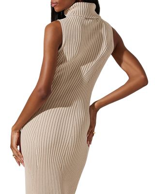 Channary Turtleneck Sweater Dress