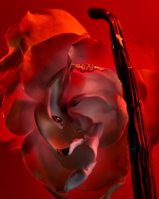 Allegra Baciami Eau de Parfum 3.4 oz.