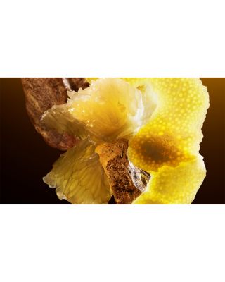 Le Gemme Tygar Eau de Parfum 4.2 oz.