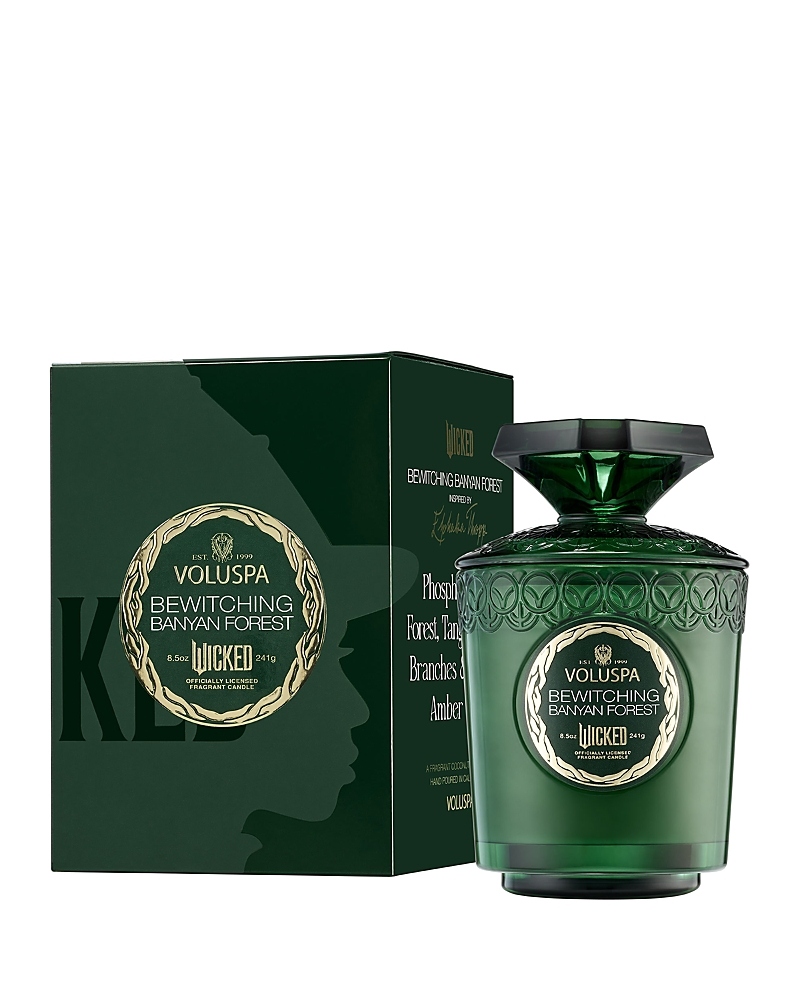 Voluspa Bewitching Banyan Forest Boxed Candle