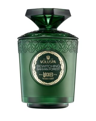 Limited Edition Wicked Bewitching Banyan Forest Boxed Candle, 8.5 oz