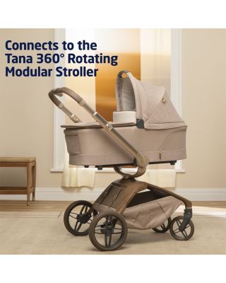 Carriage Accessory