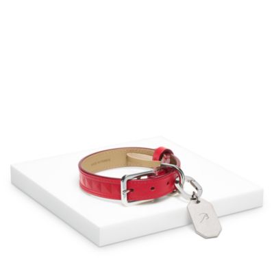 Louxar Red Allure Pet Collar